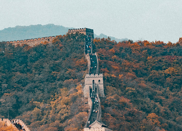 大都汇国际旅游（北京）有限公司驻马店东平路营业网点