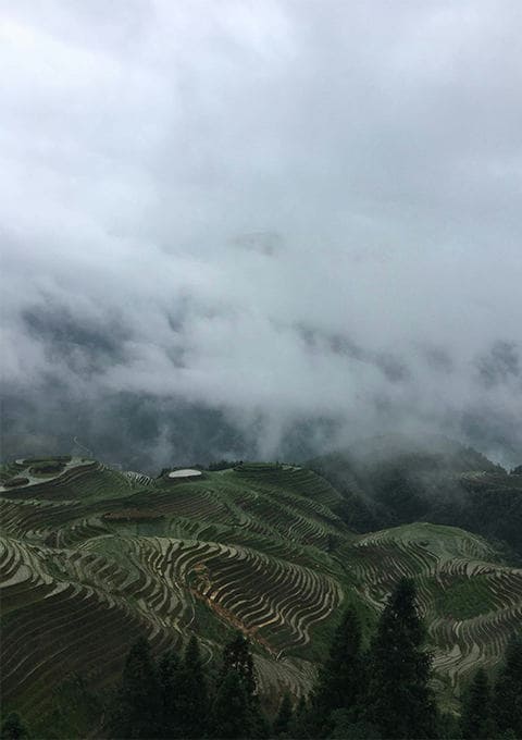 大都汇国际旅游（北京）有限公司驻马店东平路营业网点