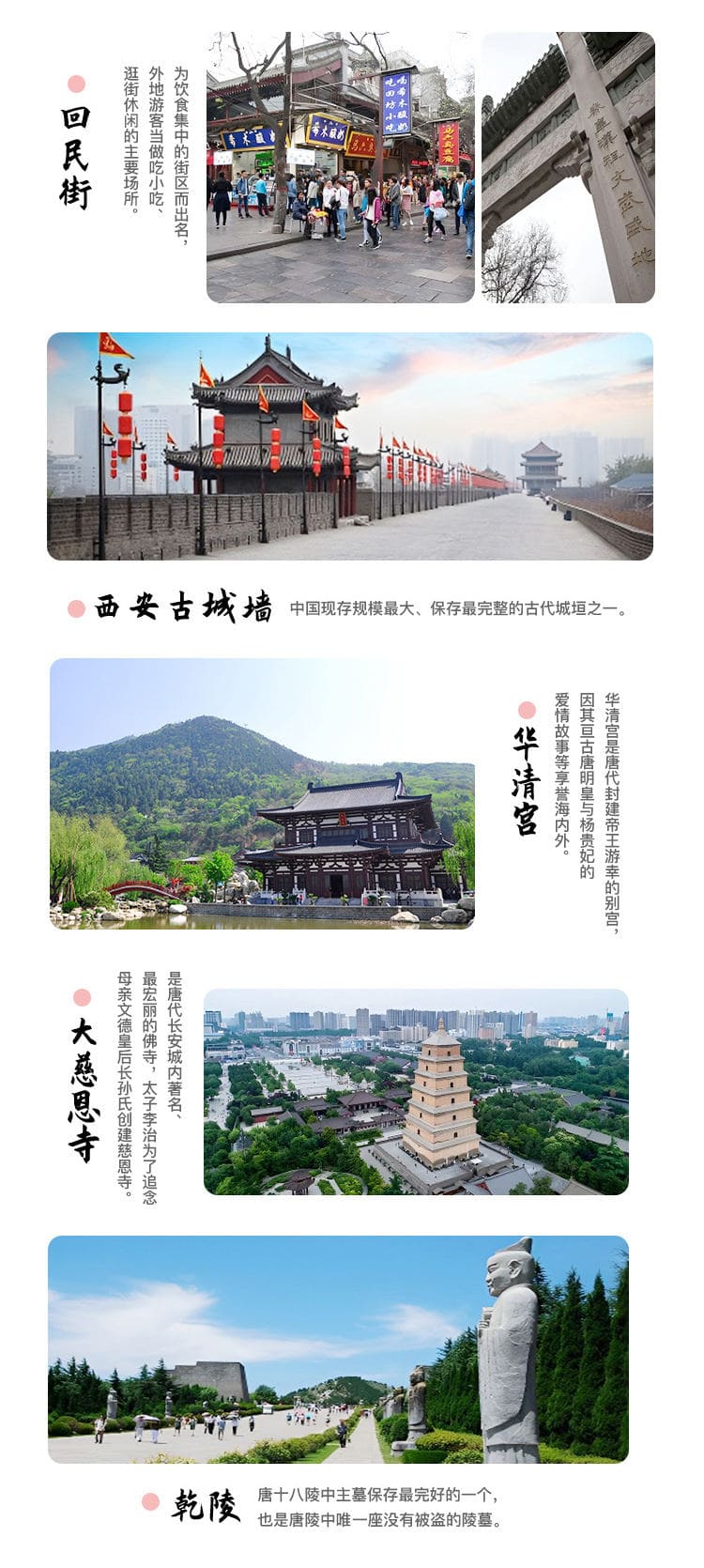大都汇国际旅游（北京）有限公司驻马店东平路营业网点